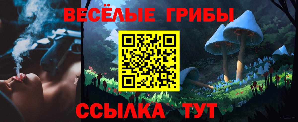 Галлюциногенные грибы GOLDEN TEACHER Великий Устюг