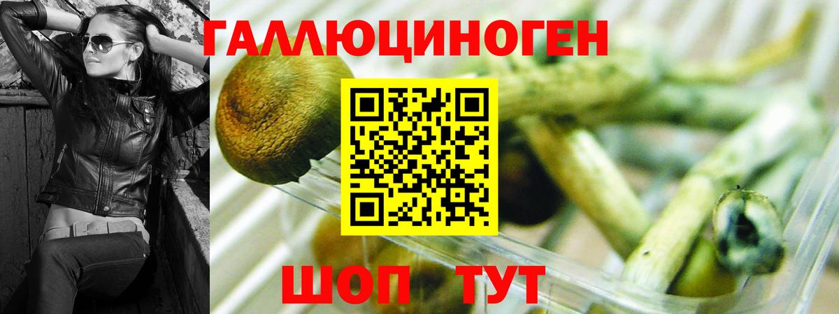 COCAIN Великий Устюг