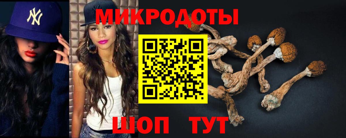 Галлюциногенные грибы Psilocybe  Вход с VPN  Великий Устюг  Галлюциногенные грибы Magic Shrooms 